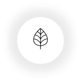 zdravie